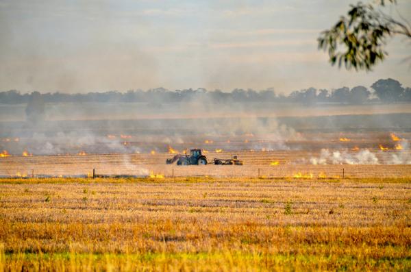 Image for event: Bushfire safety for workers